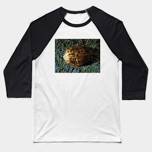 Golden Nut Shell Baseball T-Shirt